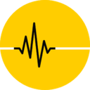 Sound That Brands logo